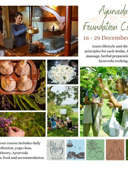 Our 100-hour Ayurveda Foundation Course is a complete immersion. You will learn dietary principles, massage, herbal preparations, and Ayurvedic cooking, all while living in our peaceful, natural setting.