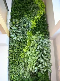 Garden Maintenance