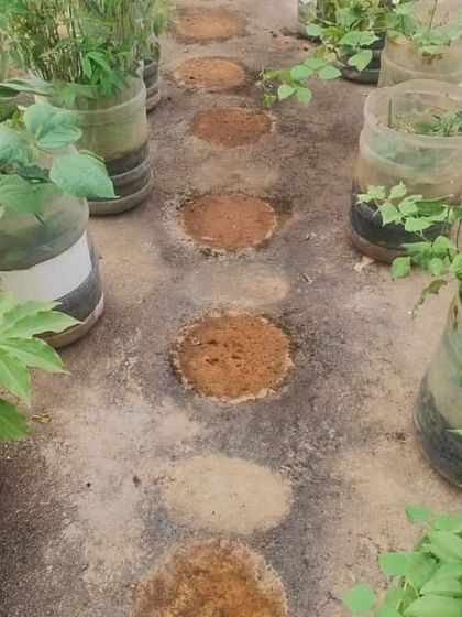 The Garden Hub - Garden Maintenance Garden Stands & Terrace Protection photo 3