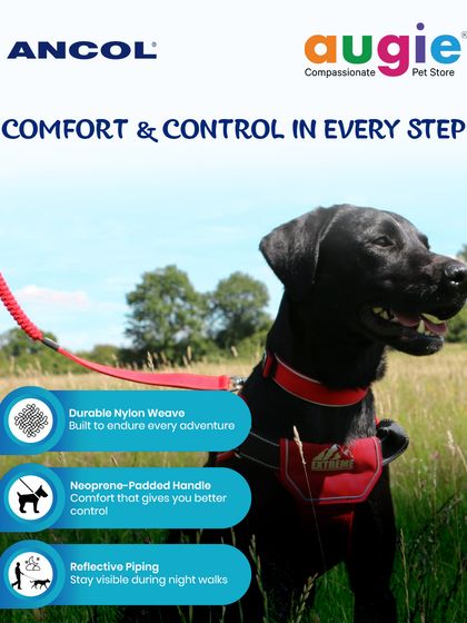 Augie Pets - Pet Supplies Adventure-Ready Gear for Every Outing photo 3