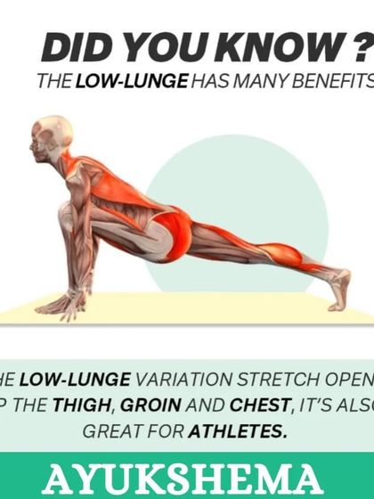 Did you know the Low Lunge is a great stretch for athletes? This anatomical view shows how it opens the thigh, groin, and chest.
