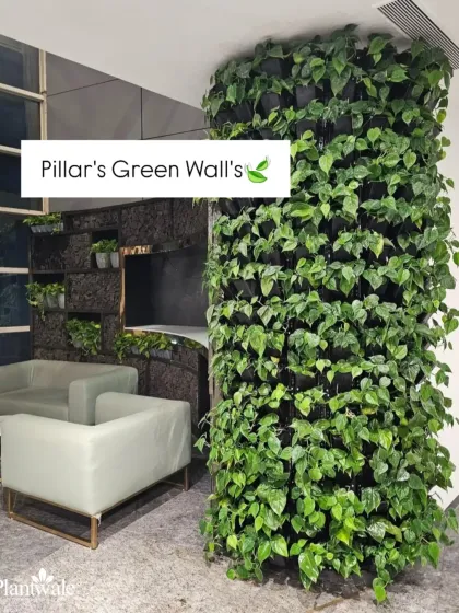 We prove that any architectural element can be greened by wrapping this structural pillar in a vertical garden. This technique transforms a functional support into a beautiful, natural focal point in an office lobby.