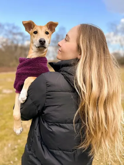 This is the moment it's all about. BoPeep, a rescue we helped, is finally home and happy with her mom in Belgium. Seeing this pure joy is our greatest reward and the reason we are so passionate about reuniting families across the globe.