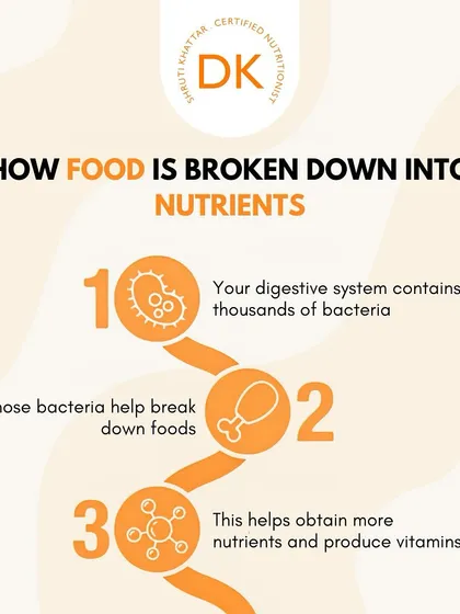 Ever wonder how food is broken down into nutrients? It's all thanks to the thousands of bacteria in your digestive system that help you obtain vitamins and energy from your food.