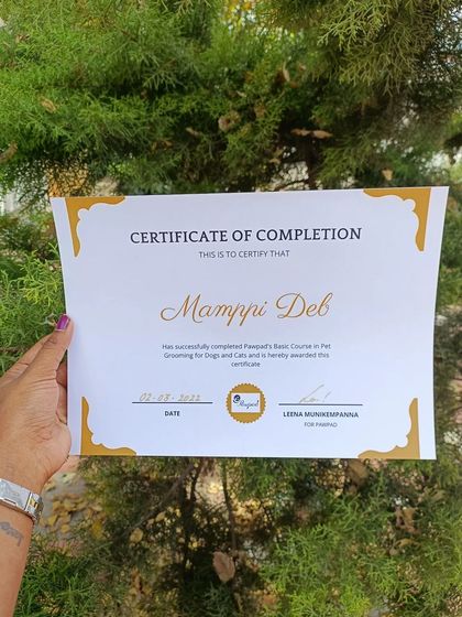 Mamppi Deb - Therapeutic Skin & Coat Treatments Meet Me & My Mission photo 4