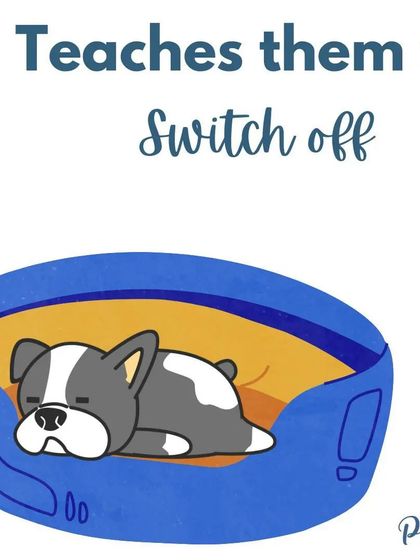 Crate training teaches your puppy the valuable skill of how to 'switch off' and settle down, which is crucial for a calm and well-behaved adult dog.