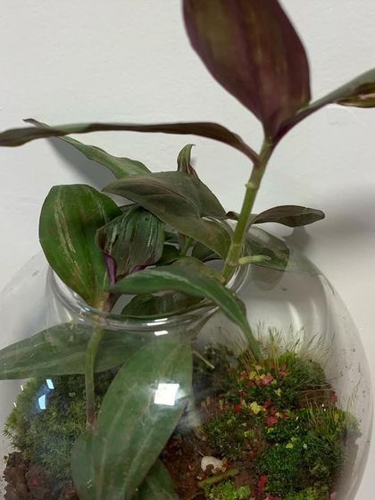 Creative Wall & Hanging Planters photo 6