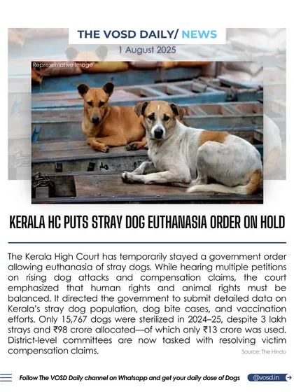 The Kerala High Court has temporarily stayed a government order that allowed for the euthanasia of stray dogs. The court is now demanding data on sterilization efforts and the use of allocated funds, balancing human and animal rights.