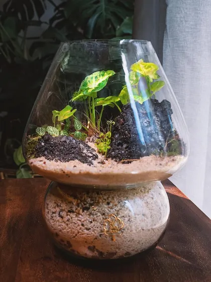 This mushroom-shaped terrarium is a whimsical and unique design. The sandy base and volcanic rock create a desert-like landscape for the tropical plants.