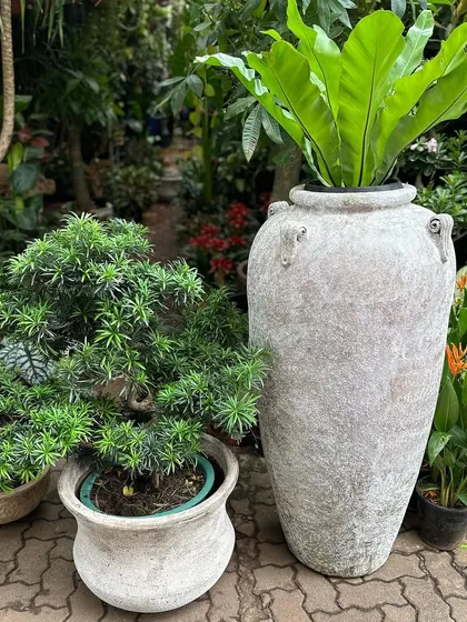 Bigger is often better for making an impact. I stock statement planters up to 5 feet tall, like this large rustic urn. Their unique finish works beautifully for both outdoor and indoor settings to house large plants like this Bird's Nest Fern.