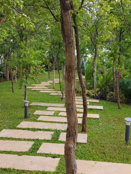 A winding stone path with integrated lighting guides you through a wooded garden area. This creates a magical, park-like feel within a private residential property.