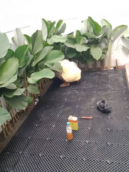 From Concept to Completion photo 3