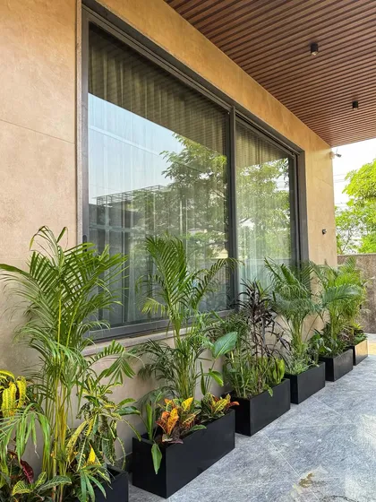 Our fibre planter boxes are a perfect fit for walkways and driveways. Here, they are filled with a colorful mix of Crotons and palms, adding life to the space next to the large windows.
