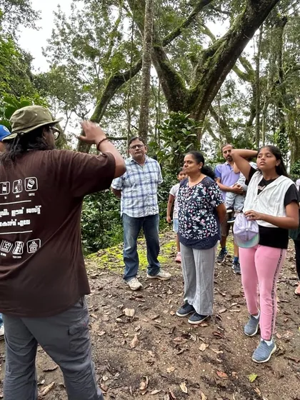 A group of participants on a coffee estate tour at Villa Urvin Khan. We take students to the source to understand coffee cultivation firsthand.