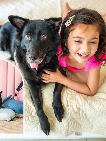 A collage showing the sweet and silly moments between a girl and her dog, Pakodi. From a happy cuddle on the bed to a close-up of their faces, it captures the pure joy of their friendship.
