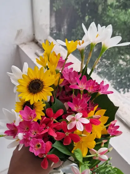 Bhardwaj - Urban Gardening Consultation A Riot of Colorful Flowers photo 34