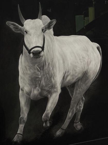 The Untamed Wild: Monochrome Wildlife Portraits photo 4