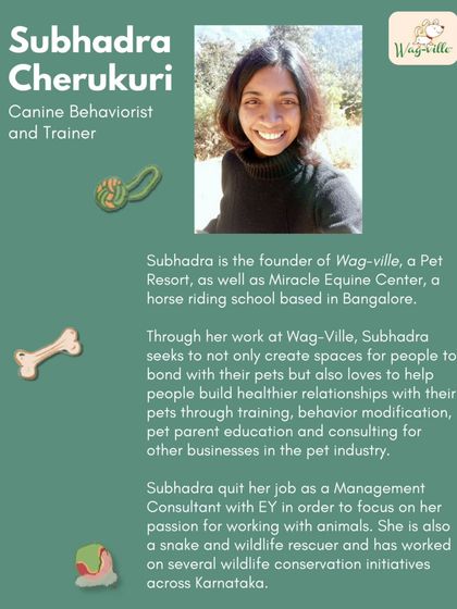 At our Pawsome Picnic, we feature experts like canine behaviorist and trainer Subhadra Cherukuri. It's a great opportunity for pet parents to learn and build healthier relationships with their pets.