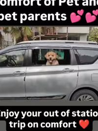 Pet Taxi (Delhi NCR)