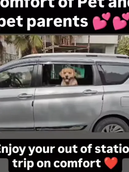 This is the comfort I promise for every trip. I've added a new Ertiga to my fleet, perfect for long outstation journeys, ensuring your pet travels in a spacious, air-conditioned, and clean environment.