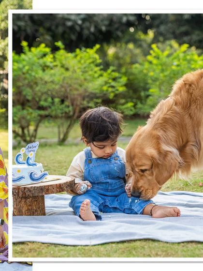 A collage showing the sweet interaction between a baby and a dog during a cake smash. Ollie the Golden Retriever gently investigates the cake while baby Aariv gets his first taste. It's a memory of a first birthday shared with a furry sibling.