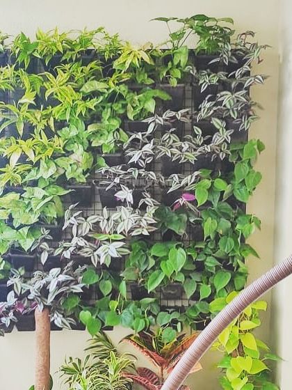 Treemendous - Interior & Exterior Plantscaping Vertical Gardens & Green Walls photo 7