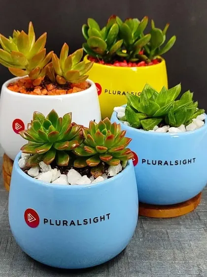 We provide clean, modern, and professional succulent arrangements for our corporate clients. These branded pots for Pluralsight feature a variety of succulents, topped with decorative pebbles and seated on wooden coasters for a complete, desk-ready look.