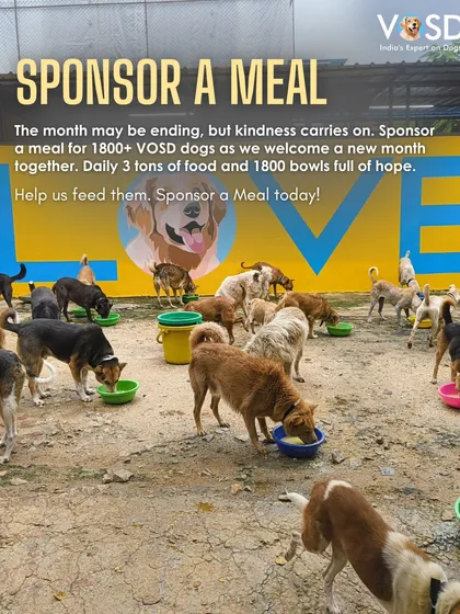 The 'LOVE' mural overlooks mealtime, a constant reminder of our mission. As one month ends and another begins, your kindness is the bridge that carries them into tomorrow.