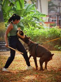 Protection Sports & Working Dog Training