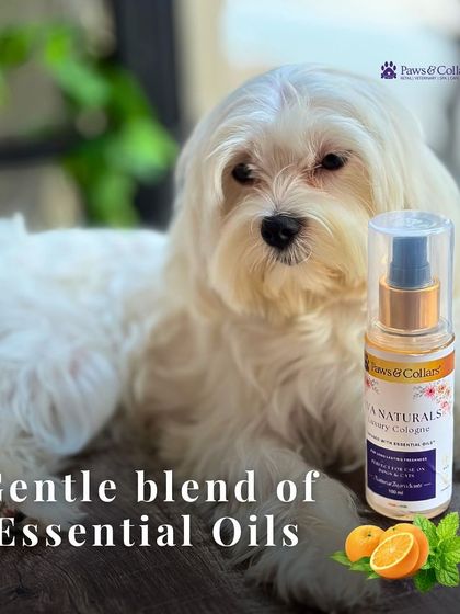 PawsnCollars - Pet Grooming & Spa Ava Naturals: Luxury Pet Cologne photo 9