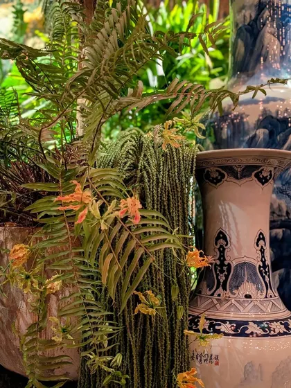 We love combining different textures and styles. For the Sabyasachi event, we paired delicate ferns and flowering Gloriosa lilies with classic blue-and-white Chinese vases, creating a beautiful contrast that added to the event's rich, eclectic aesthetic.