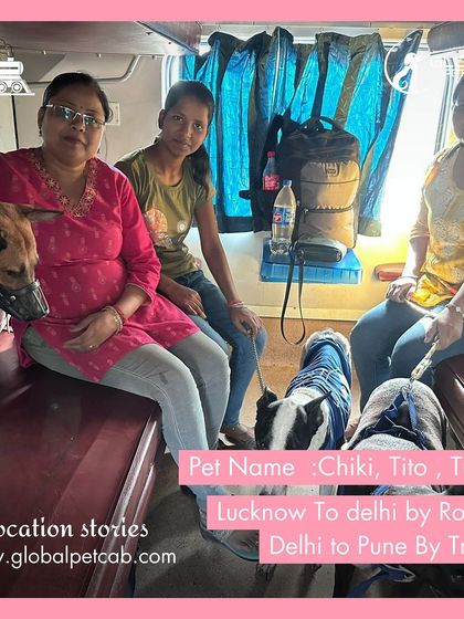 Global Pet Cab - Domestic Pet Relocation Train Travel: First-Class Coupe Journeys photo 17