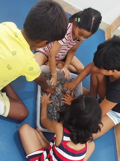 Little Wings Innovation Labs - STEM & Arts Summer Camps Science & Art Explorations photo 32