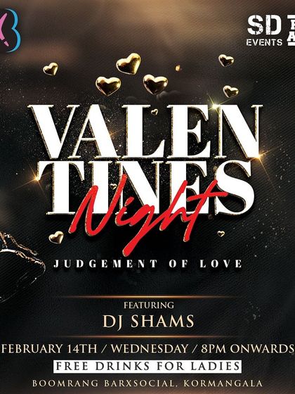 DJ Shams - DJ for Special Events Festive & Themed Parties photo 7