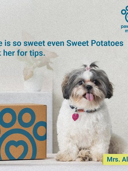 And here's Mrs. Alie, our sweet little tasting officer. She makes sure every batch is up to her high standards.