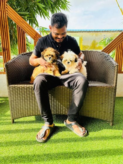 Fluffy Paws Pet Resort - Pet Boarding & Daycare Puppy Preschool: Socialization & Fun photo 9