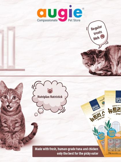 Augie Pets - Pet Supplies For Our Feline Friends: Premium Cat Nutrition photo 4
