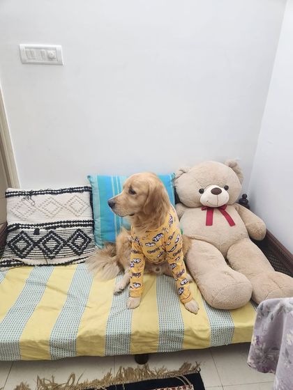 Adventures in the USA photo 23