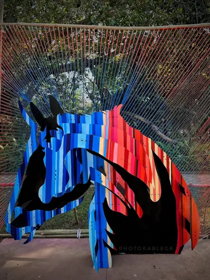 A striking art installation of a horse, the symbol of the Kala Ghoda district. I focus on capturing the most iconic and photogenic pieces at the festival.