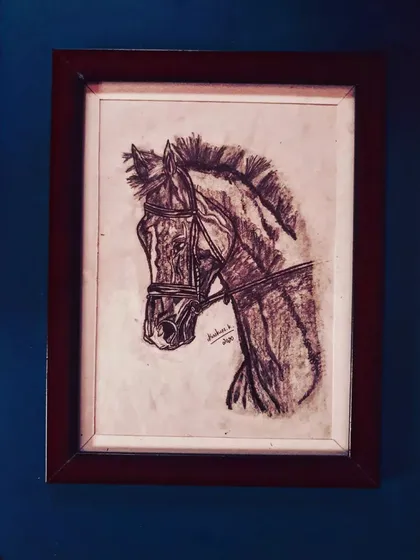 A collection of my other framed A4 size zentangle and sketch artworks, including various animals and patterns.