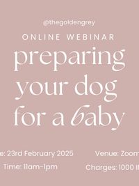 Educational Workshops & Webinars