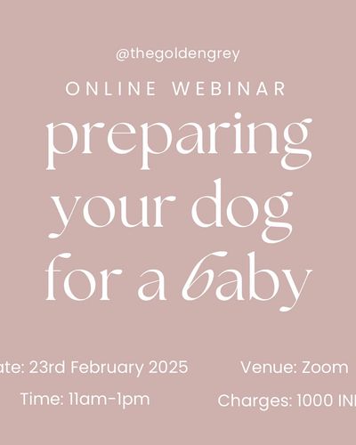 Educational Workshops & Webinars