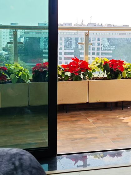 Balcony & Terrace Gardens photo 3