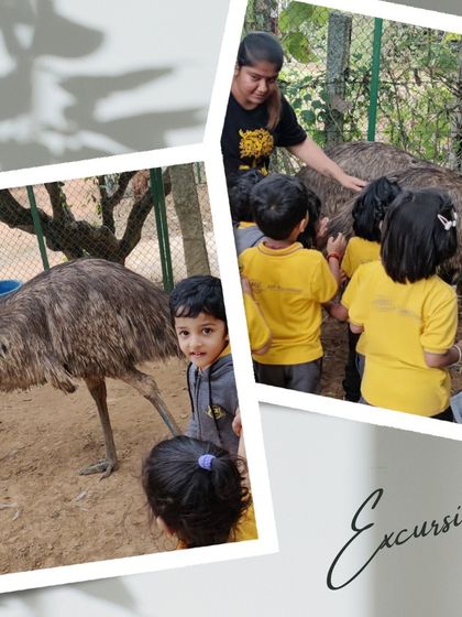 Ace Montessori - Summer Camp Outdoor Adventures & Excursions photo 19