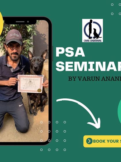 An advertisement for my PSA Seminar, where I teach everything from the basics to advanced competitive strategies.