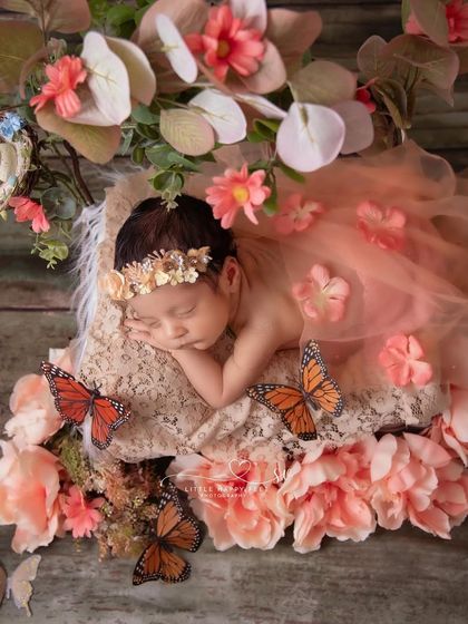 A garden fairy surrounded by flowers and butterflies. The peach and orange tones are warm and inviting, and the butterflies add a touch of magical movement.