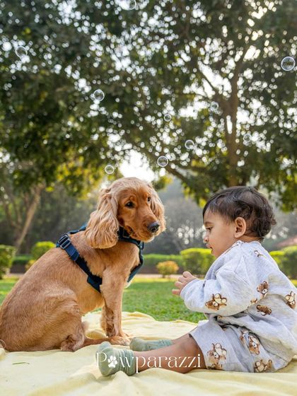 Pawparazzi By Prathima - Maternity & Newborn Photography with Pets Kids & Pups: Partners in Crime photo 38