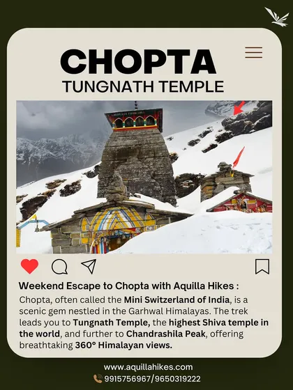 A quick info-card about the Chopta-Tungnath trek, often called the 'Mini Switzerland of India'. It leads to the highest Shiva temple and offers stunning 360-degree Himalayan views.