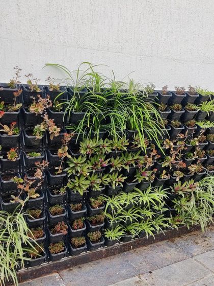 Vertical Garden Setup - Landscape Design & Execution Balcony & Patio Solutions photo 7