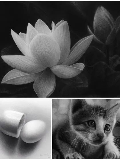 A collage of texture studies, including a lotus and a cat, which I drew to practice rendering different natural surfaces.
